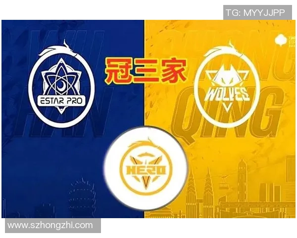 esports最新数据电竞比分深度对话刘强探讨王者荣耀背后的成长与挑战